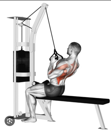 سحب أمامي ضيق - Close Grip Lat Pulldown