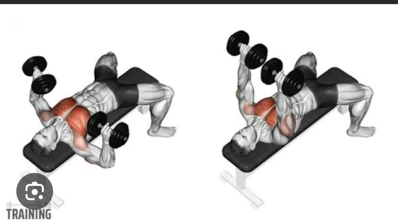 صدر مستوي دامبل - Dumbbell Bench Press