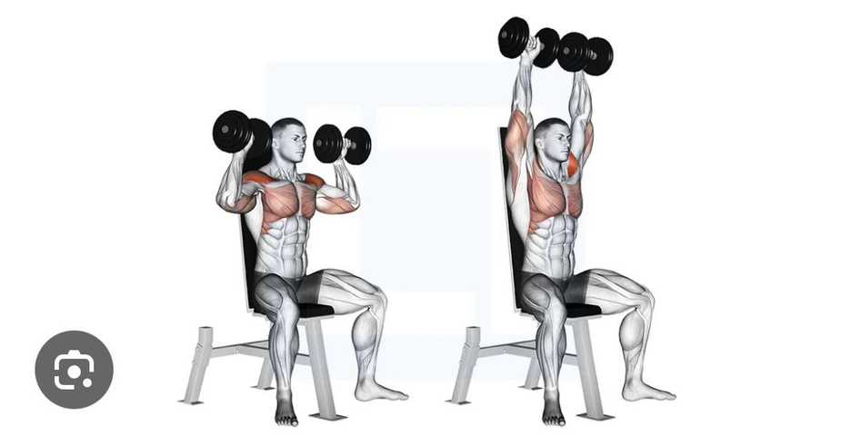 دامبل بريس أكتاف - Dumbbell Shoulder Press
