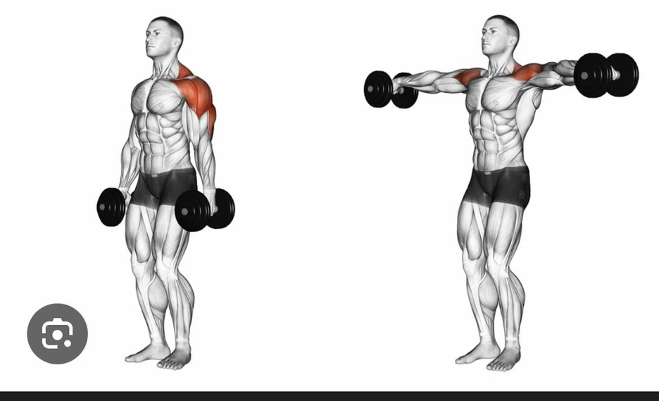 رفرفة جانبية - Lateral Raises