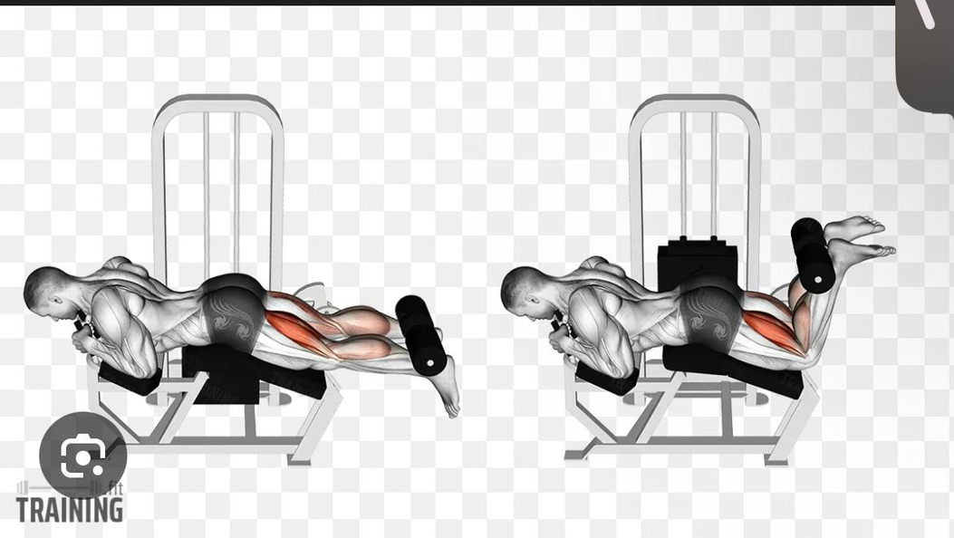 رفرفة خلفي أرجل - Leg Curl
