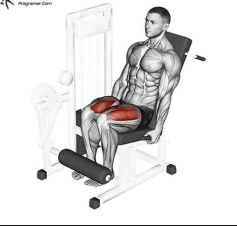رفرفة أمامي أرجل - Leg Extension