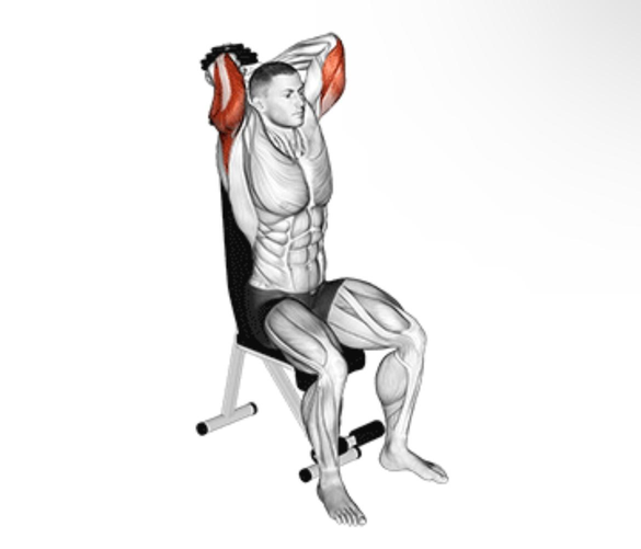 تراي من فوق الرأس - Overhead Triceps Extension