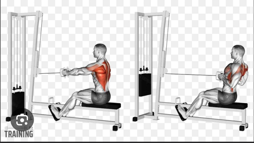 سحب أرضي ضيق - Seated Cable Row